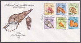 Sea Shells, Cone Shell, Seashell, Orange Spider, Golden Cowrie Shell Marine Creature, Underwater, Micronesia FDC - Coneshells