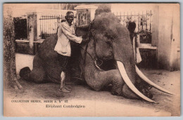 (Cambodge) 043, Collection Henry Serie A N° 62, Eléphant Cambodgien - Cambodge