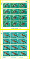 SAN MARINO 2024 N.2 New Sheet Europa - Fauna E Flora Acquatiche - Blocchi & Foglietti