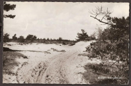 Roden, Zuurseduinen - 1965 - Andere & Zonder Classificatie