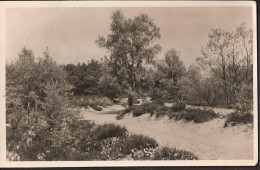 Nijverdal "Drietip" Bonteweg - 1951 - Nijverdal