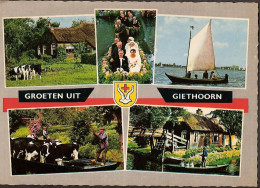 Groeten Uit Giethoorn Rond 1960 - Brug, Boot Met Koeien En Melkbussen, Cows - Giethoorn