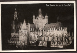 Den Bosch - St. Jan Cathedraal In Floodlight - 's-Hertogenbosch