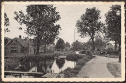 Elim (Drenthe) 1955  - Andere & Zonder Classificatie