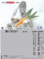 Rabbit, Japan, Kansai Train Ticket - Japon