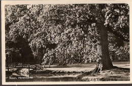 Assen - Hertenkamp  - 1956 Groot-rond Stempel "Wijk Aan Zee" - Assen