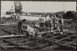 Harderwijk - Zuiderzeewerken - De Kraagstukken - Sonstige & Ohne Zuordnung