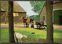 Echten - Vakantieoord Westerbergen - Boerderij Met Paarden Voor Ploeg. Geit - Rond 1970 - Other & Unclassified