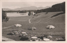 14820 - Osterseen Bei Seeshaupt - Ca. 1955 - Weilheim