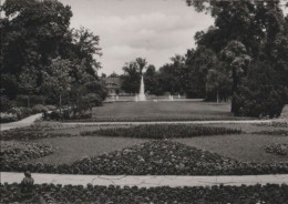 43672 - Fürth - Stadtpark - 1965 - Fuerth