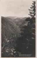 18581 - Bad Steben - Höllental Frankenwald - Blick Vom David - Ca. 1935 - Bad Steben