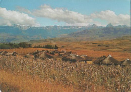 12157 - Südafrika - Drakensberg Scenery - Ca. 1975 - Sud Africa