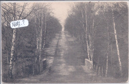 A IDENTIFIER- CHEMIN FORESTIER- SPECIMEN- 1904- A.LONOU - To Identify