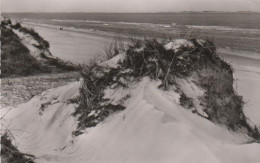 6477 - Langeoog - Dünen Und Strand - 1961 - Langeoog