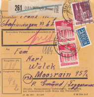 BiZone Paketkarte 1948: Dillingen Nach Moosrain - Lettres & Documents