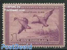 United States Of America 1938 Migratory Bird Hunting Stamp 1v, Pintail Drake, Unused (hinged), Nature - Ducks - Nuevos