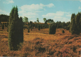 114022 - Hankensbüttel - Bokel - Heideblütental - Gifhorn