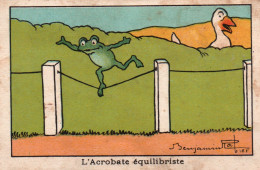 Chromo - Illustration Benjamin Rabier: L'Acrobate équilibriste (Grenouille Et Une Oie) - Andere & Zonder Classificatie