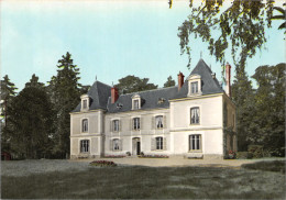 89-SAINT SAUVEUR EN PUISAYE-N°C-4312-D/0179 - Saint Sauveur En Puisaye