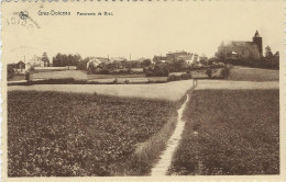 GREZ-DOICEAU : Panorama De Biez - Graven