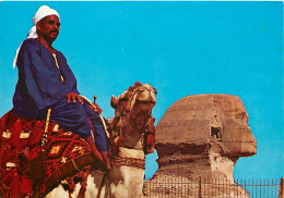 Egypte - Gizeh - Giza - Camel Driver Near The Famous Sphinx - Chamelier - Chameaux - Carte Neuve - CPM - Voir Scans Rect - Guiza