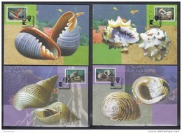 Thailand 1997 Shells Maxicards - Conchas