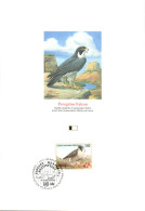 DOC 1993 FAUCON PELERIN - Águilas & Aves De Presa
