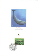 DOC 1994 BALEINE BLEUE - Dolfijnen