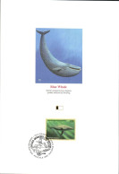 DOC 1994 BALEINE BLEUE - Dolphins