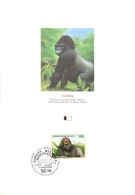 DOC 1993 GORILLE - Gorillas