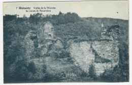 WAIMES : Vallée De La Warche - Ruines De Renarstène - Waimes - Weismes