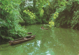 GABON - Images Du Gabon - Promenade En Pirogue - Colorisé - Carte Postale - Gabun