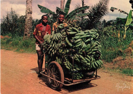 GABON - Retour De La Bananeraie - Lumières D'Afrique - Colorisé - Carte Postale - Gabun