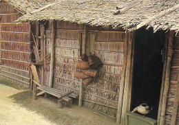 GABON - Case Traditionnelle Et Nasses - Woleu Ntem - Colorisé - Carte Postale - Gabón