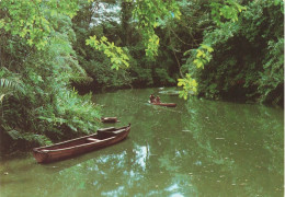 GABON - Reflets Du Gabon - Balade En Pirogue - Colorisé - Carte Postale - Gabun