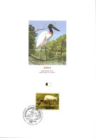 DOC 1994 JABIRU - Storchenvögel