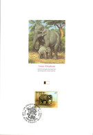 DOC 1994 ELEPHANTS D'ASIE - Elefanti