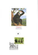 DOC 1994 CHIMPANZE - Chimpansees