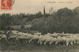 94* ORMESSON  Moutons Au Paturage     RL14.0450 - Ormesson Sur Marne
