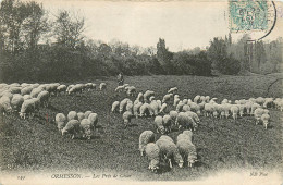 94* ORMESSON   Le Pre De Cesar – Moutons        RL14.0449 - Ormesson Sur Marne