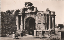 # ALGERIE - TEBESSA / PORTE CARACALLA - Tébessa