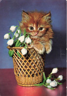 ANIMAUX - Un Chat Dans Un Panier - Colorisé - Carte Postale - Chats