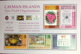 Cayman Islands 2001 Non Profit Organisations Charities Minisheet MNH - Cayman (Isole)