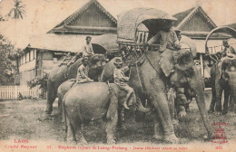 ELEPHANTS ROYAUX DE LUANG - PRABANG - Laos