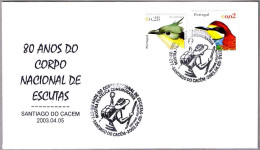 80 Años SCOUTS - Santiago Do Cacem 2003 - Covers & Documents