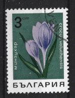Bulgaria 1968  Flowers  Y.T. 1585 (0) - Gebraucht