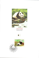 DOC 1995 PANDA GEANT - Beren