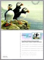 ATLANTIC PUFFIN - FRAILECILLO - MACAREUX MOINE. Tarjeta Entero Postal Canada - Albatro & Uccelli Marini