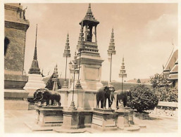 Photo - Thaïlande - BANGKOK - Wat Phra Kaeo Ou Temple Du Bouddha D'Emeraude - Format 10,7 X 8,4 Cm - éléphant - Thaïlande