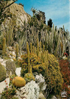 Fleurs - Plantes - Cactus - Principauté De Monaco - Le Jardin Exotique - CPM - Voir Scans Recto-Verso - Sukkulenten